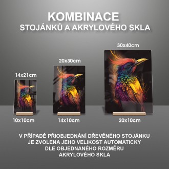Akrylové sklo Barevný pták
