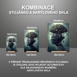 Akrylové sklo Tvář  lesa 3