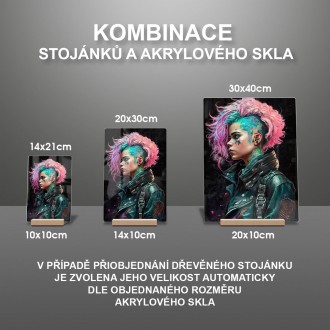 Akrylové sklo Punkrock dívka