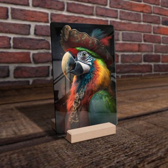 Akrylové sklo Papoušek pirát 2