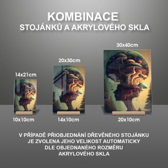 Akrylové sklo Tvář  lesa