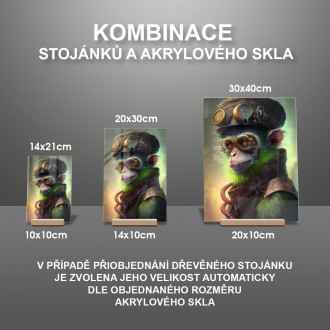 Akrylové sklo Steampunková opice 1