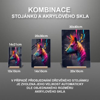 Akrylové sklo Osel v barvách