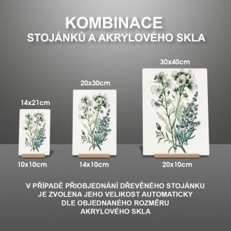 Akrylové sklo Květinový herbář 2