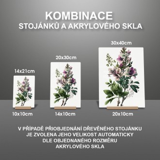Akrylové sklo Květinový herbář