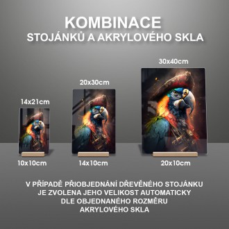 Akrylové sklo Papoušek pirát 1