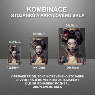 Akrylové sklo Moderní gejša 2