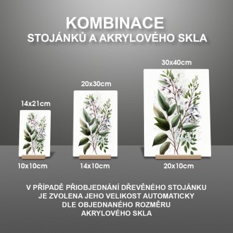 Akrylové sklo Květinový herbář 6