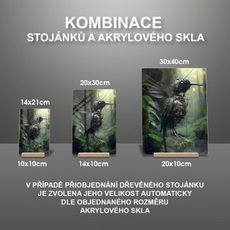 Akrylové sklo Kybernetický kolibřík