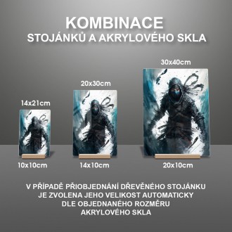 Akrylové sklo Moderní umění - asasín