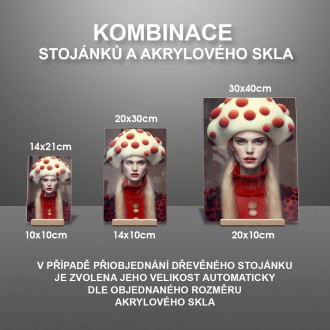 Akrylové sklo Móda - houba muchomůrka 3