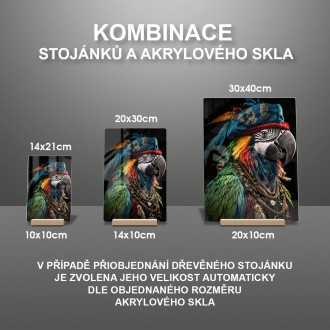Akrylové sklo Papoušek pirát