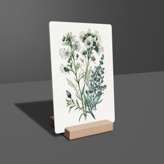 Akrylové sklo Květinový herbář 2
