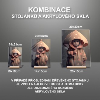 Akrylové sklo Móda - dítě houba muchomůrka 1