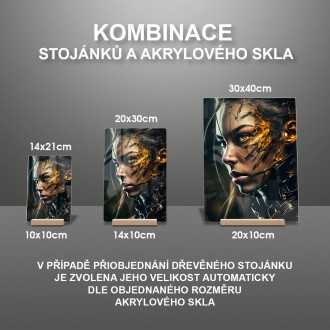 Akrylové sklo Olejomalba - Infekce