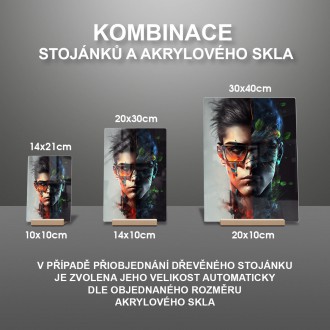 Akrylové sklo Půlený obličej