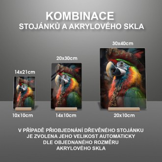 Akrylové sklo Papoušek pirát 2