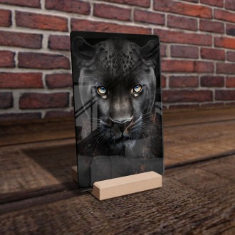 Akrylové sklo Černý panter samec