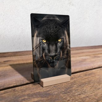 Akrylové sklo Černý panter