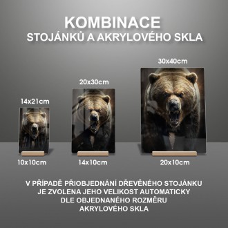 Akrylové sklo Strašlivý grizzly