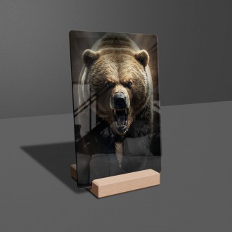 Akrylové sklo Strašlivý grizzly