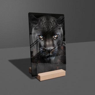 Akrylové sklo Černý panter samec