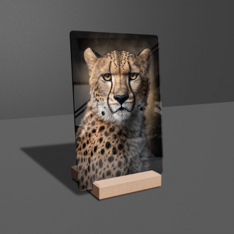 Akrylové sklo Gepard