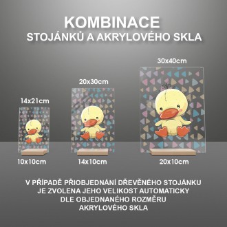 Kachňátko