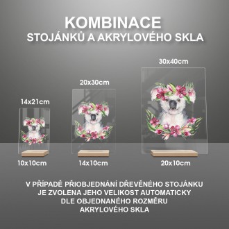 Koala v květinách