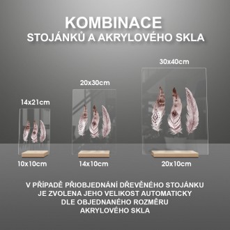 Kouzelná pírka 2