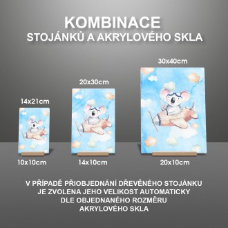Koala a letadélko