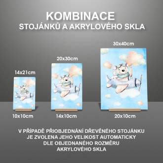 Medvídek a letadélko