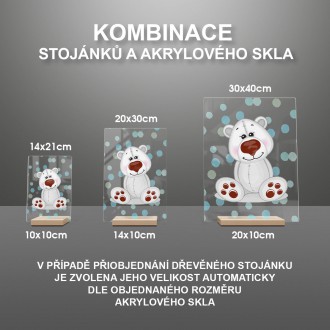 Lední Medvídek