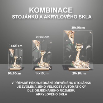 Malá žirafa s mámou
