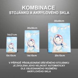 Chlapec s balónkem