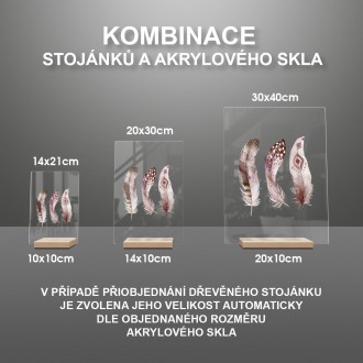 Kouzelná pírka