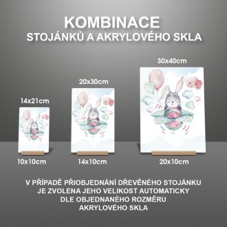 Vzhůru do říše snů