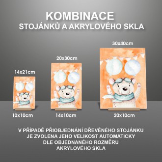 Medvídek s balónky