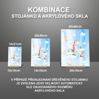 Žirafa a letadélko