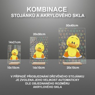 Sedící Kachňátko