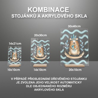 Medvídek indián