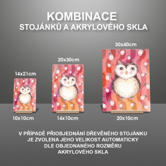 Sova v padajícím peří