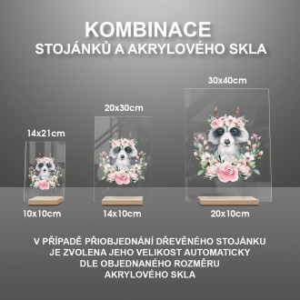 Mýval v květinách