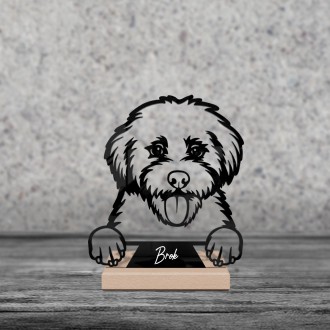 Cavapoo