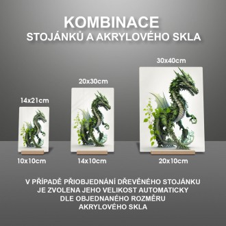 Akrylové sklo Přírodní drak