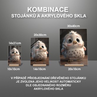 Akrylové sklo Animovaná bílá sova
