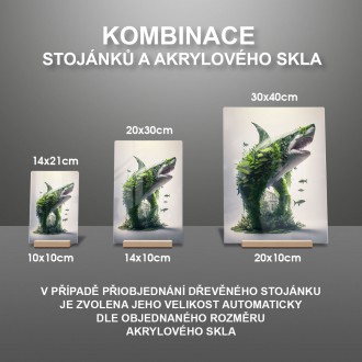 Akrylové sklo Přírodní žralok