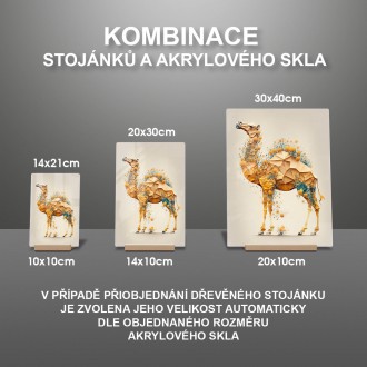 Akrylové sklo Květinový velbloud