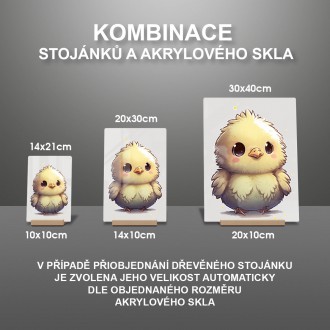 Akrylové sklo Malé kuře