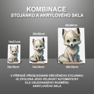 Akrylové sklo Malá bílá liška